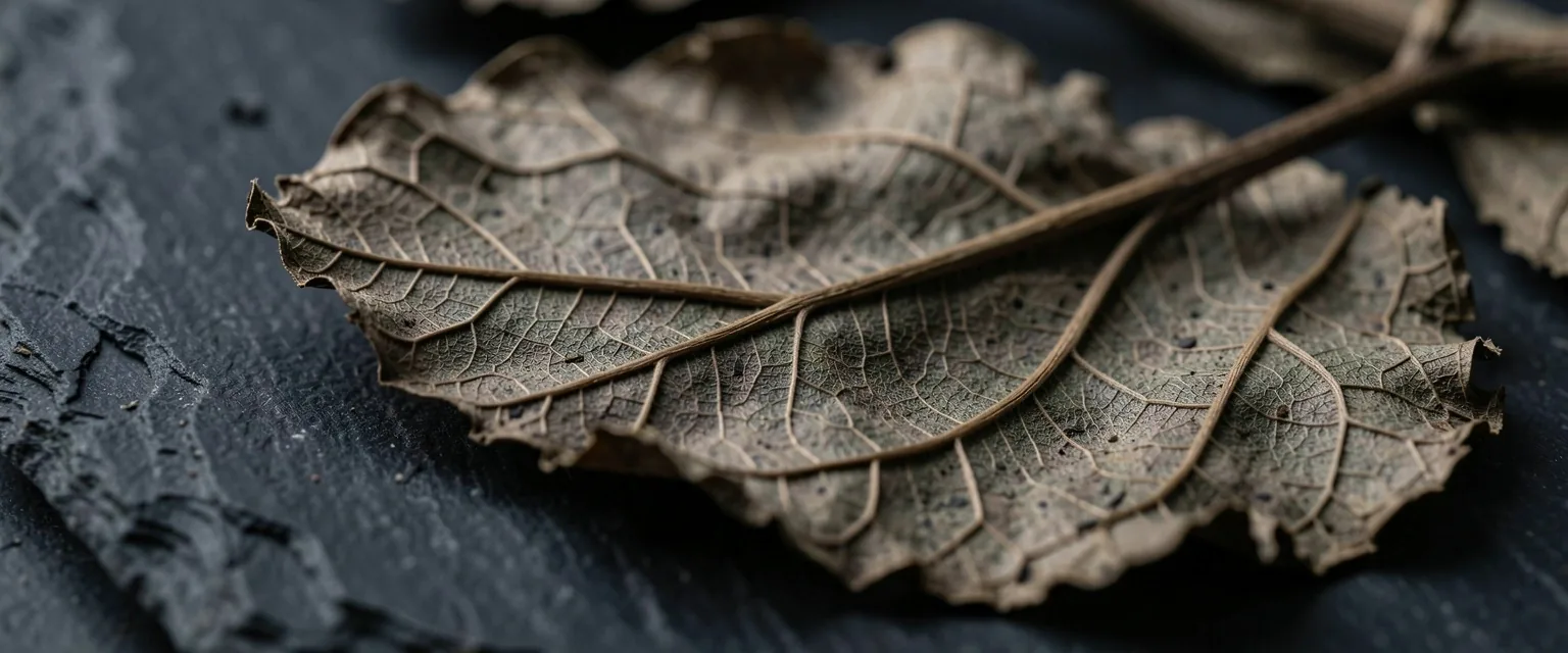 Botanical Texture
